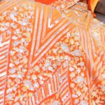 Shivani Rajashekar Instagram -