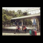 Shivani Rajashekar Instagram - Day 1 at the #JewelChangiAirport #Singapore2019 #thecousinstrip 😎🙆‍♀️ Jewel Changi Airport