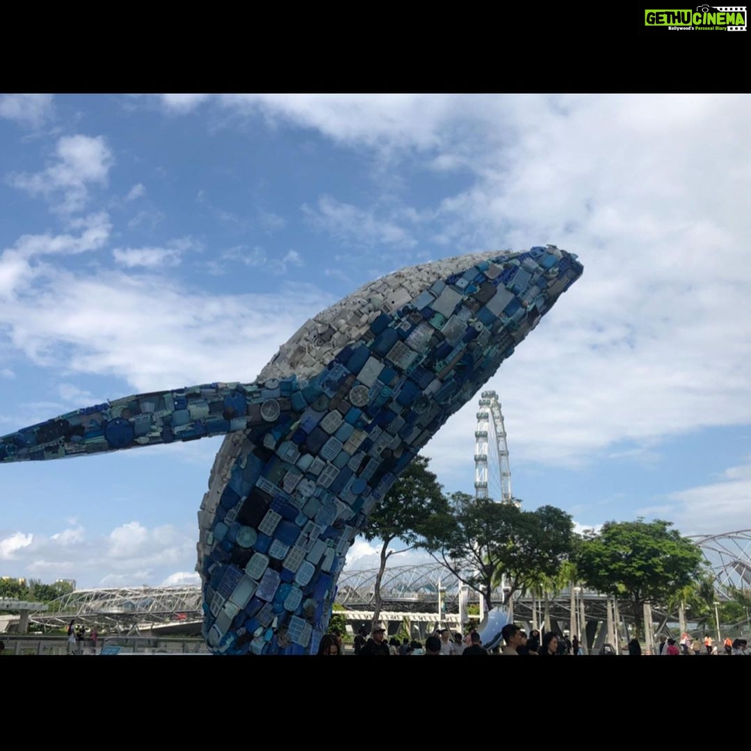 Shivani Rajashekar Instagram - Day 1 Singapore Roads...we Walked ,talked, explored the city..ate a lot too...mm not really..(nothing much for vegetarians ,Shivat and I 🙆♀️)..no we ate a lot of ice creams actually 🤷🏻♀️ #singapore2019 #thecousinstrip😎🙆♀️