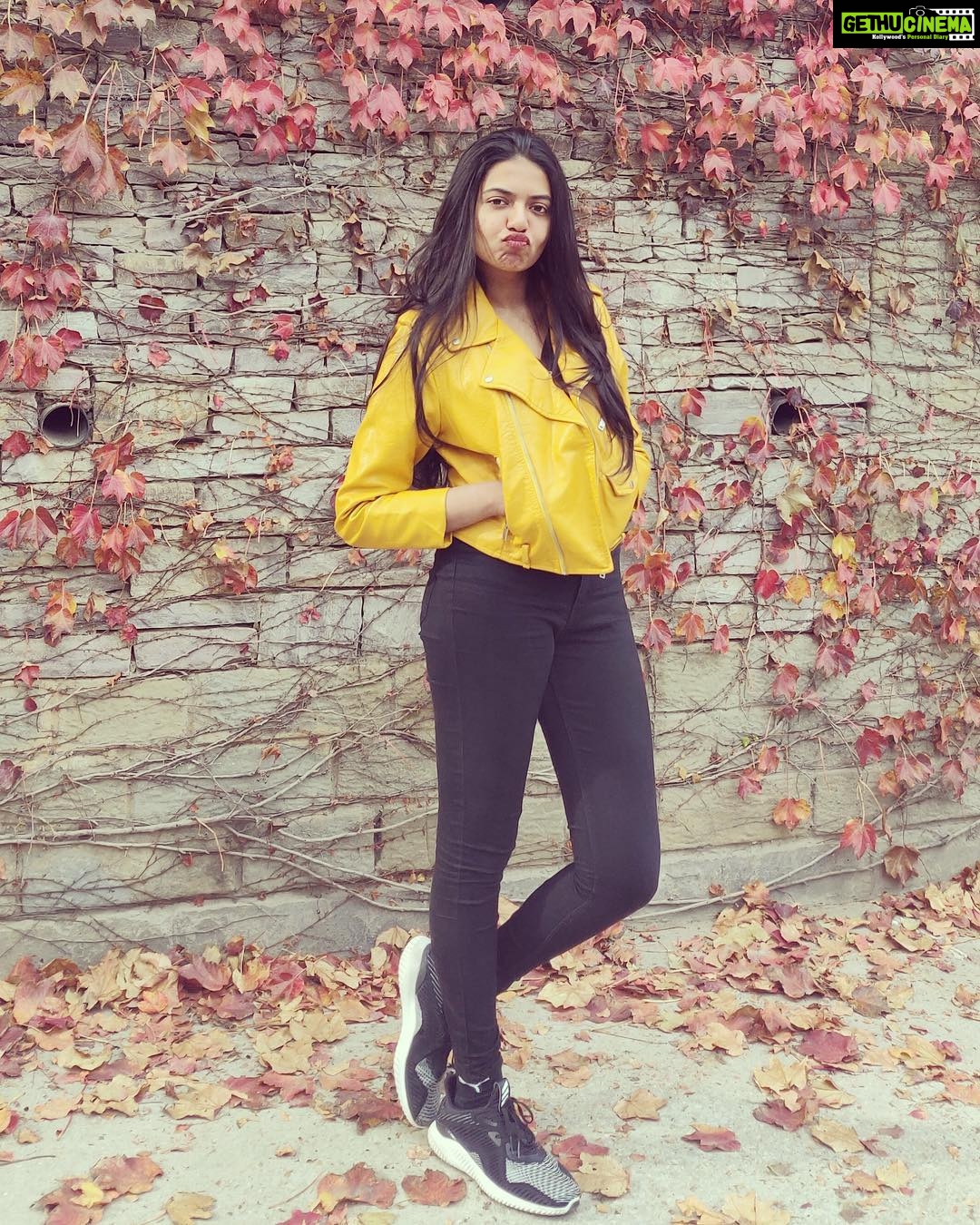 Shivani Rajashekar Instagram - 🙊🙉🙈🍁