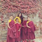 Shivani Rajashekar Instagram - 🍁🍁🍁