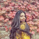 Shivani Rajashekar Instagram - 🍁🍁🍁