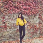 Shivani Rajashekar Instagram - 🍁🍁🍁