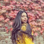 Shivani Rajashekar Instagram - 🍁🍁🍁