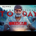 Shivani Rajashekar Instagram - And our Baby #Shekar is all yours now !!! Please do watch it in theatres near you ,I’m sure you won’t be disappointed! Please keep loving ,supporting and blessing us as always 🙏💞🙏 #shekaronmay20 #rajashekar #drrajashekar #jeevitharajashekar #shivathmikarajashekar #shivanirajashekar