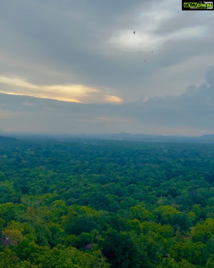 Siddhi Idnani Instagram - highlight of my trip to Sri Lanka, there’s a sense of validation you feel every time you overcome an uphill struggle.. it’s not the mountain we conquer, but ourselves. The view, the wind, the prayers I was in sync with nature and it’s creation.. There isn’t a more soul enriching experience than this. Sri Lanka you absolute beauty! . . . . #srilanka #sigiriya #srilankatravel Sigiriya Rock
