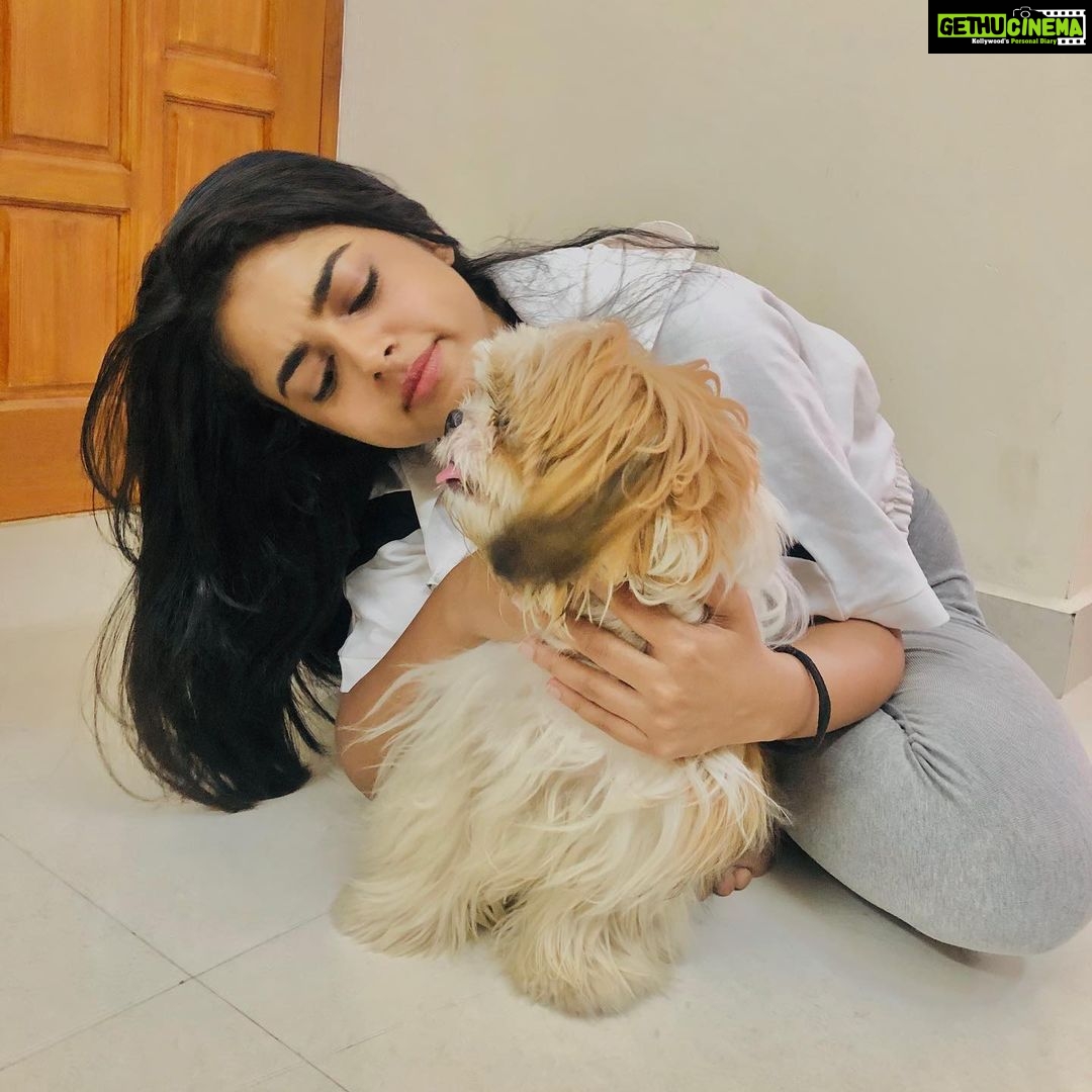 Siddhi Idnani Instagram - Coco babushkuu🐶 I want a doggo sooooo badly 🐶🥺😩💜 Chennai, India