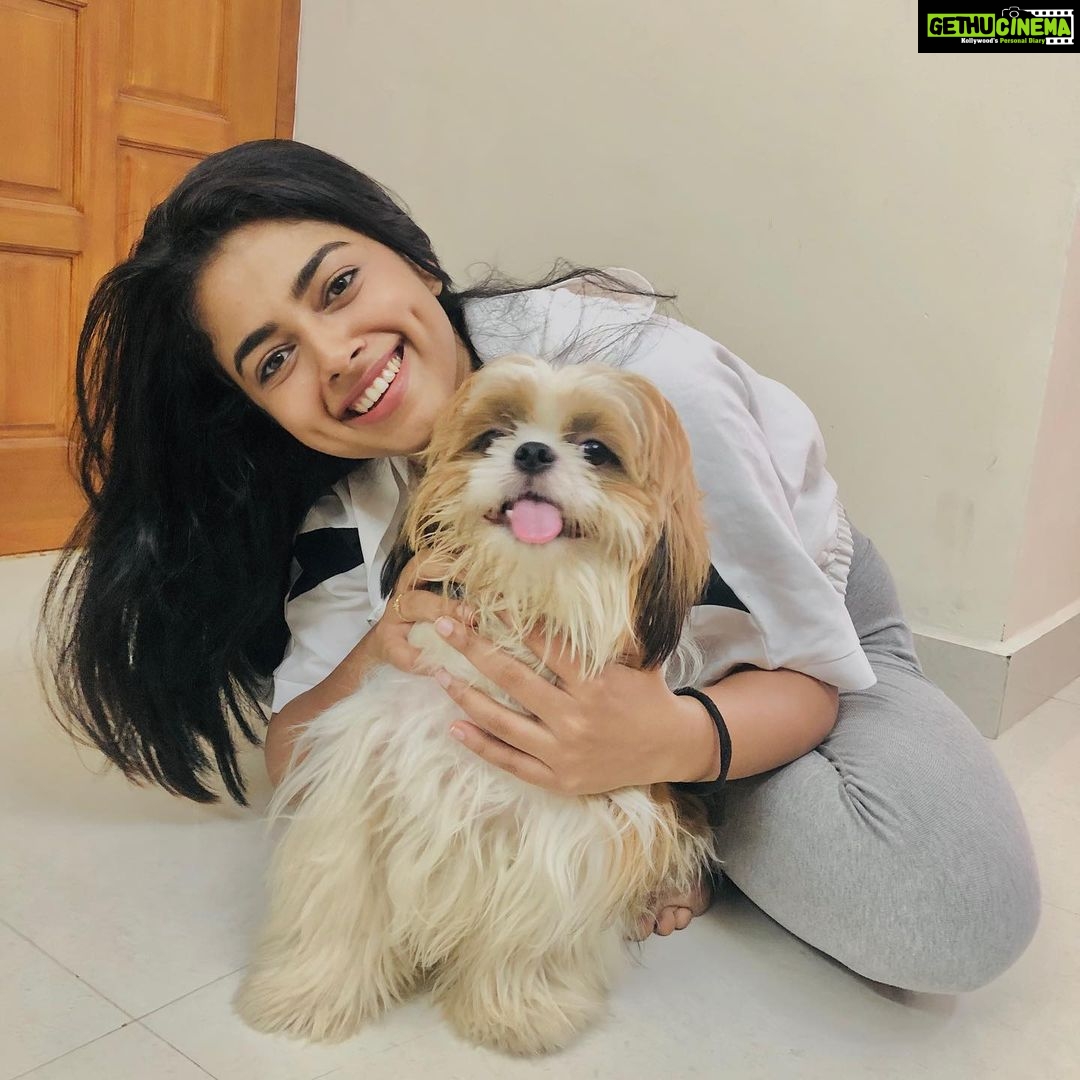 Siddhi Idnani Instagram - Coco babushkuu🐶 I want a doggo sooooo badly 🐶🥺😩💜 Chennai, India