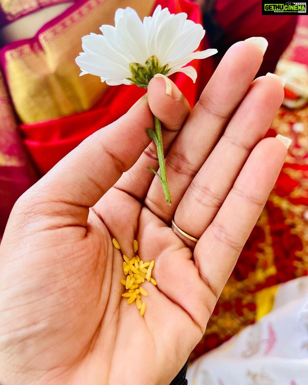 Siddhi Idnani Instagram - sunny South Indian weddings ☀️🍃 Bangalore, India