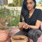 Smruthi Venkat Instagram - #worldenvironmentday As today is world environment day I did my part by planting a rose plant🌱 I have always loved gardening and I have around 60 plants in my terrace garden!Now adding this plant to my garden 🌹 Make world a greener and a better place ✨🌿