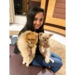 Smruthi Venkat Instagram - Who's cuter? Happy Monday!! ✨ #puppy #puppylove #cutest #pupper
