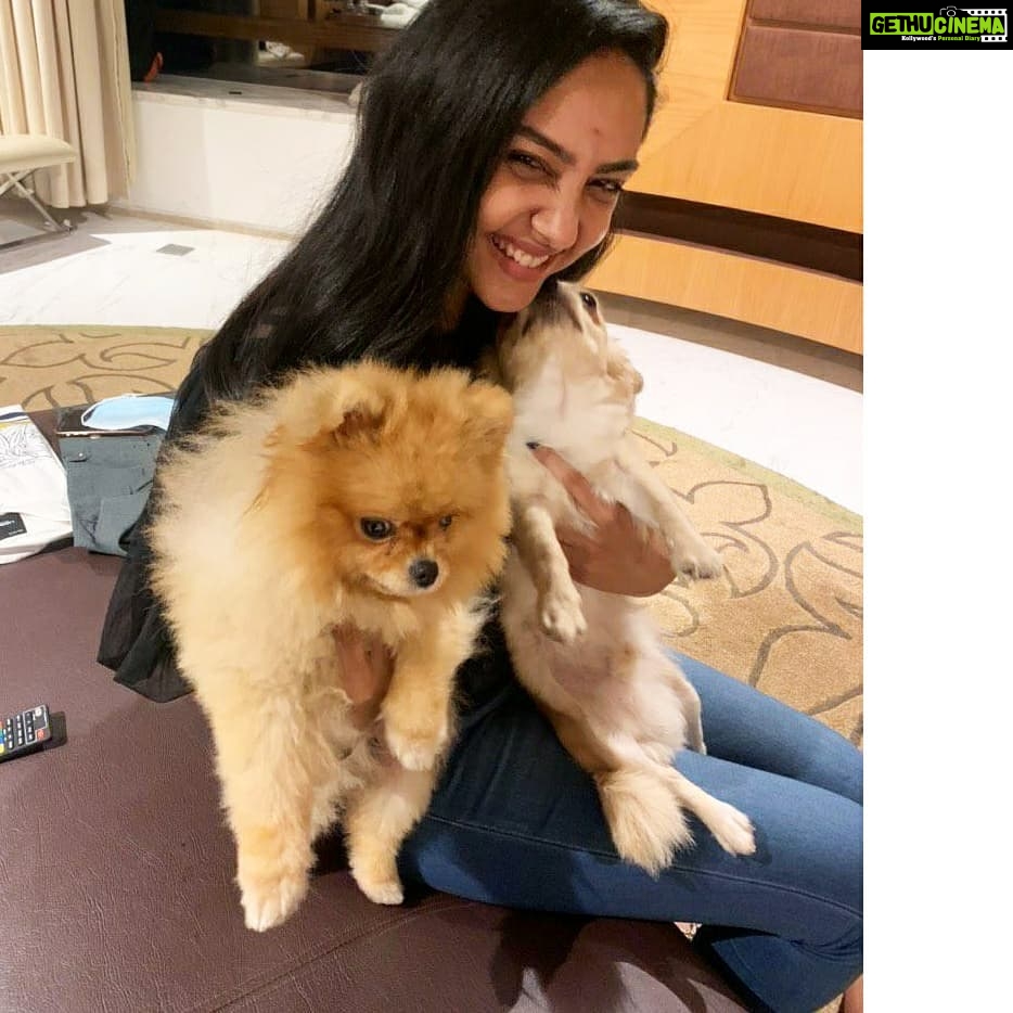Smruthi Venkat Instagram - Who's cuter? Happy Monday!! ✨ #puppy #puppylove #cutest #pupper