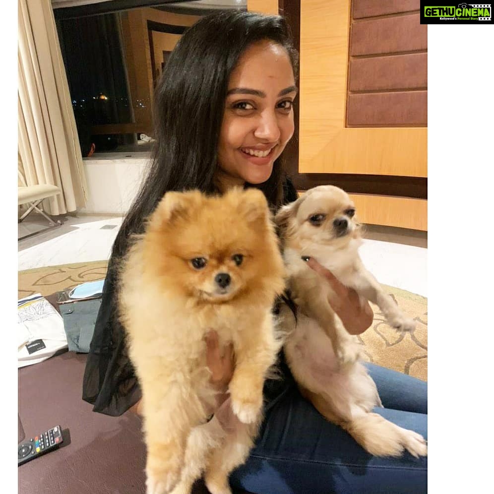 Smruthi Venkat Instagram - Who's cuter? Happy Monday!! ✨ #puppy #puppylove #cutest #pupper