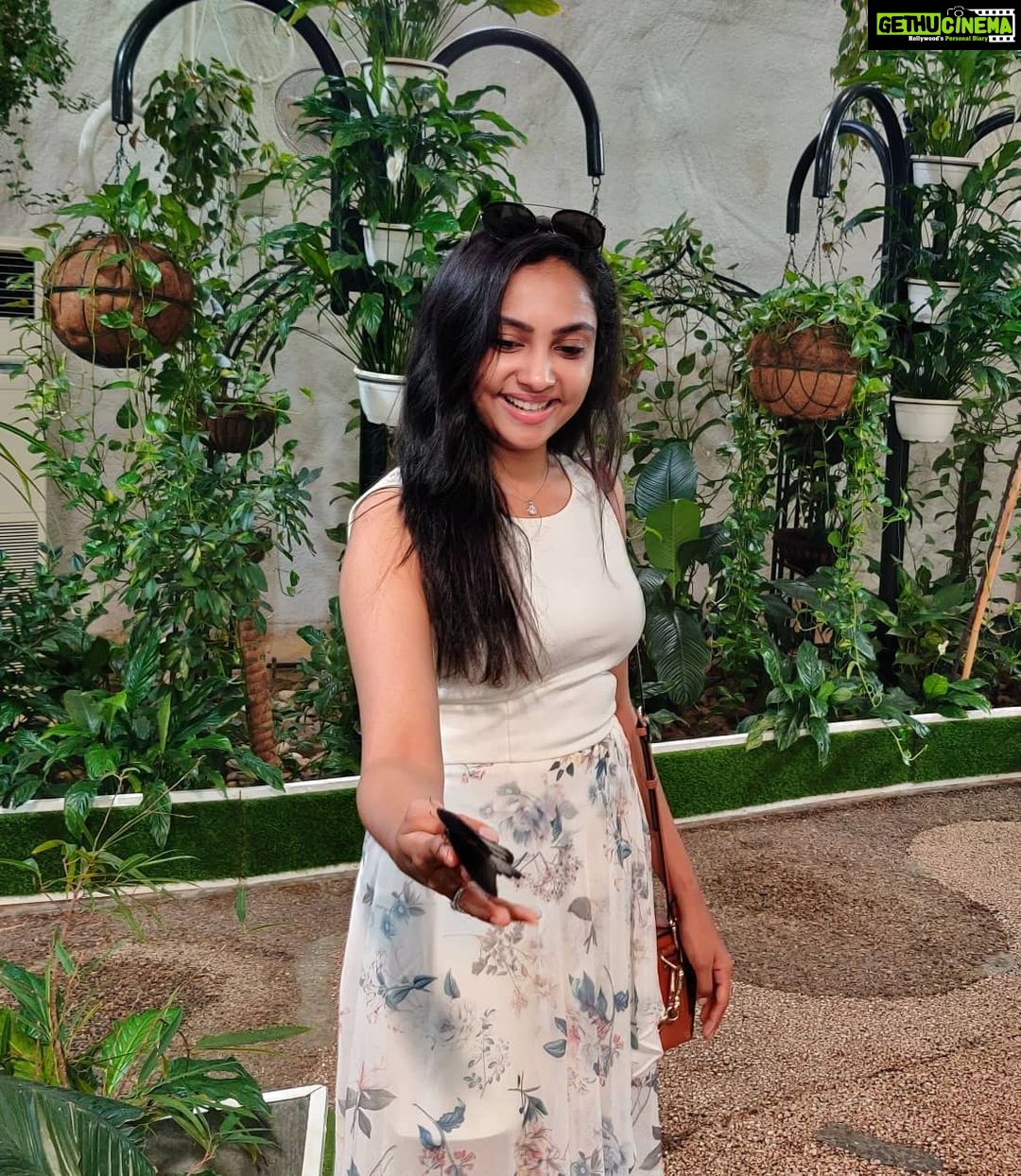 Smruthi Venkat Instagram - Throw back to Catching butterflies ✨✨ #dubaidiaries #butterfly #butterflygarden #vacation #throwback #dubaibutterflygarden #beforequarantine