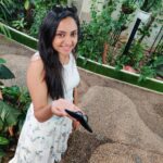 Smruthi Venkat Instagram - Throw back to Catching butterflies ✨✨ #dubaidiaries #butterfly #butterflygarden #vacation #throwback #dubaibutterflygarden #beforequarantine