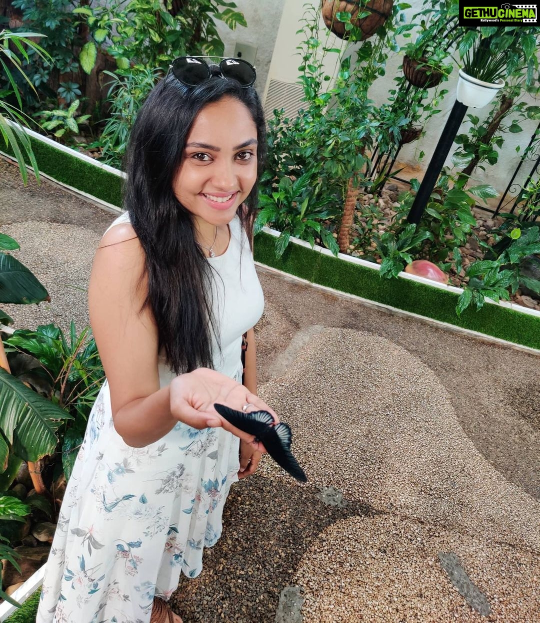 Smruthi Venkat Instagram - Throw back to Catching butterflies ✨✨ #dubaidiaries #butterfly #butterflygarden #vacation #throwback #dubaibutterflygarden #beforequarantine