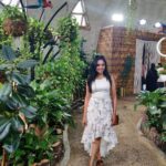 Smruthi Venkat Instagram - Throw back to Catching butterflies ✨✨ #dubaidiaries #butterfly #butterflygarden #vacation #throwback #dubaibutterflygarden #beforequarantine