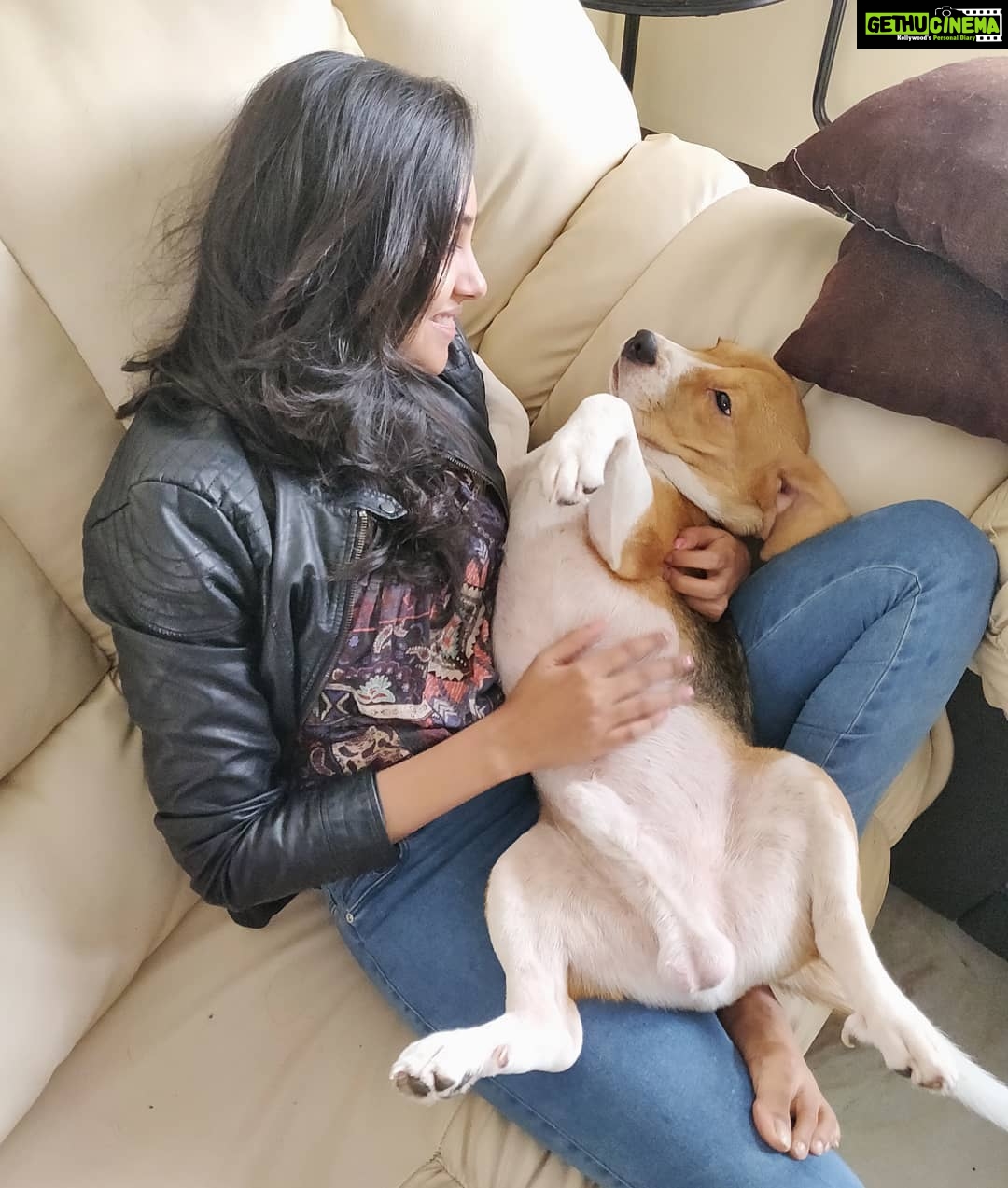 Smruthi Venkat Instagram - When our eyes met ♥️ #majormissing #loverboy #puppylove #truelove #beagle #cutestbabyever #mine ✨♥️