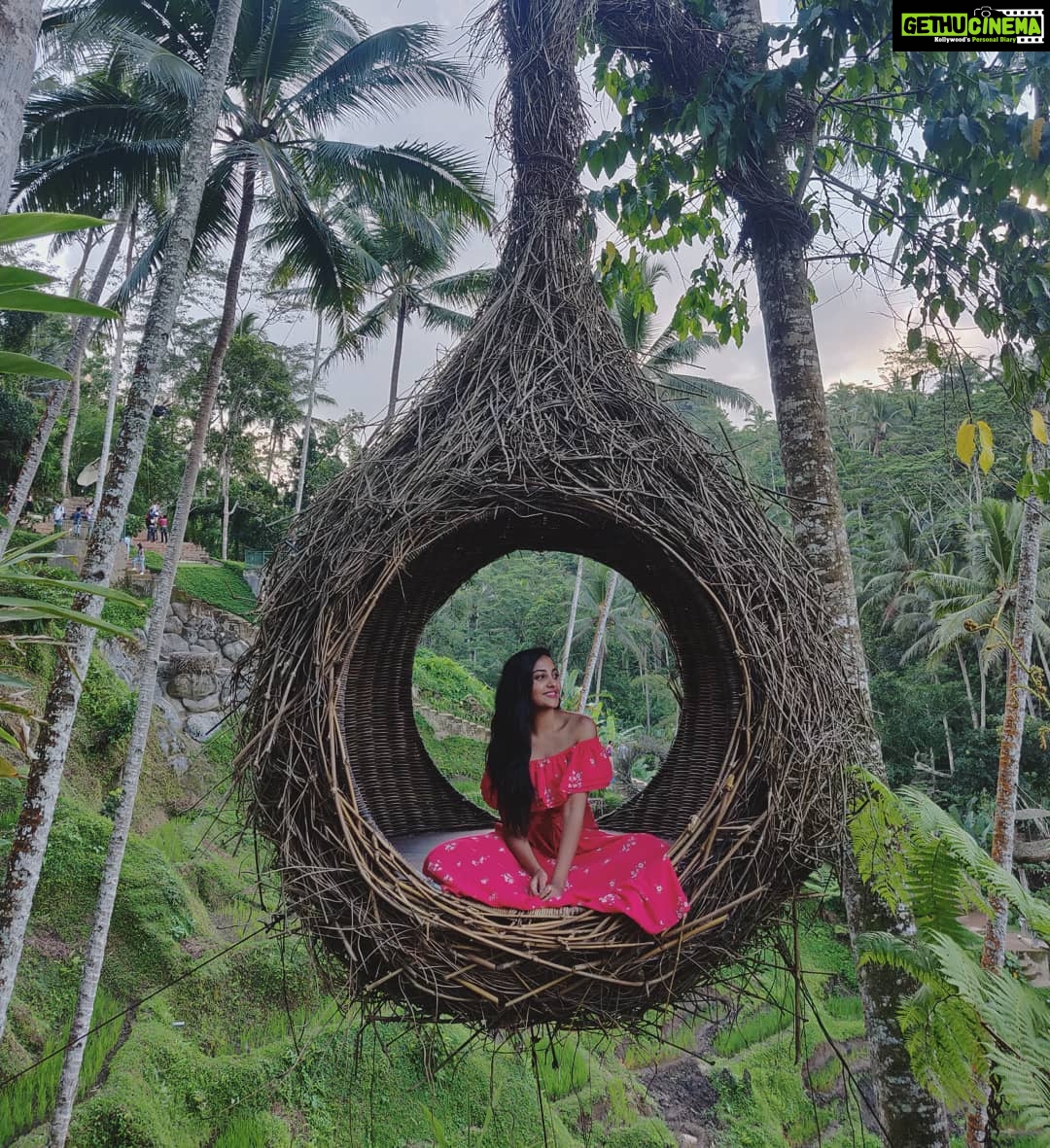 Smruthi Venkat Instagram - To sit in the shade, and look upon greenery is the most perfect refreshment✨ #backinbali #balinest #vacation #indonesia #natureswing