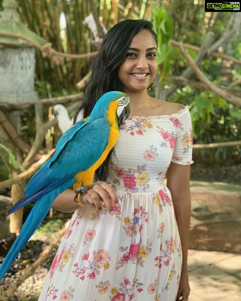 Smruthi Venkat Instagram - #balivacation #balisafari #blueandyellowmacaw #birdbeauty #happyme Bali Zoo Park Ticket