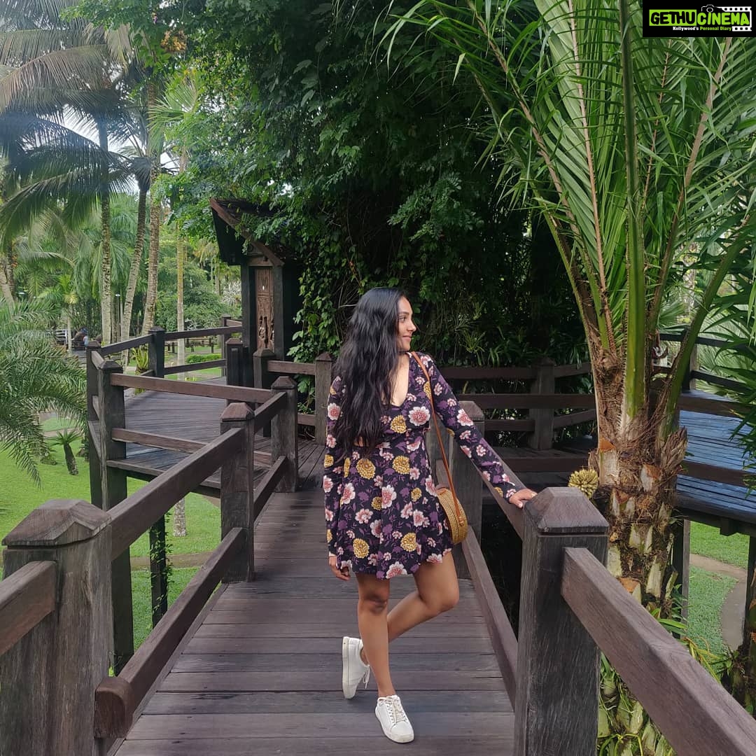 Smruthi Venkat Instagram - #bali #elephants #babyelephants #elephantlove #elephanthug #masonelephantpark #balivacation ✨🐘 Mason Elephant Park & Lodge