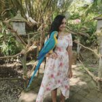 Smruthi Venkat Instagram - #balivacation #balisafari #blueandyellowmacaw #birdbeauty #happyme Bali Zoo Park Ticket