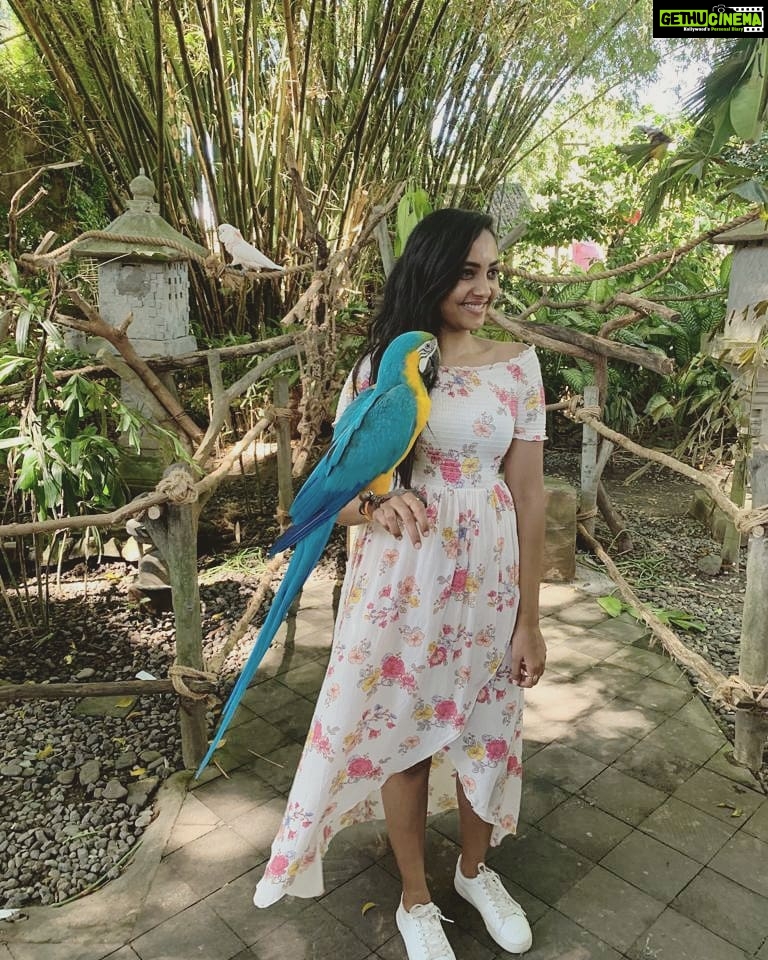 Smruthi Venkat Instagram - #balivacation #balisafari #blueandyellowmacaw #birdbeauty #happyme Bali Zoo Park Ticket