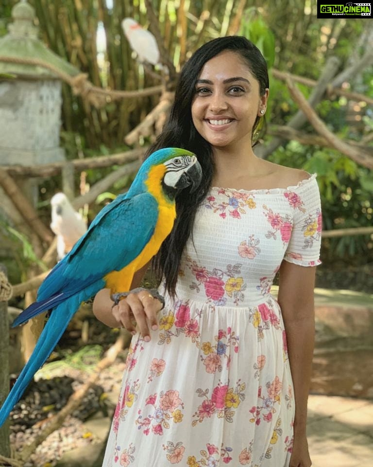 Smruthi Venkat Instagram - #balivacation #balisafari #blueandyellowmacaw #birdbeauty #happyme Bali Zoo Park Ticket