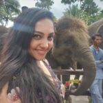 Smruthi Venkat Instagram - #bali #elephants #babyelephants #elephantlove #elephanthug #masonelephantpark #balivacation ✨🐘 Mason Elephant Park & Lodge
