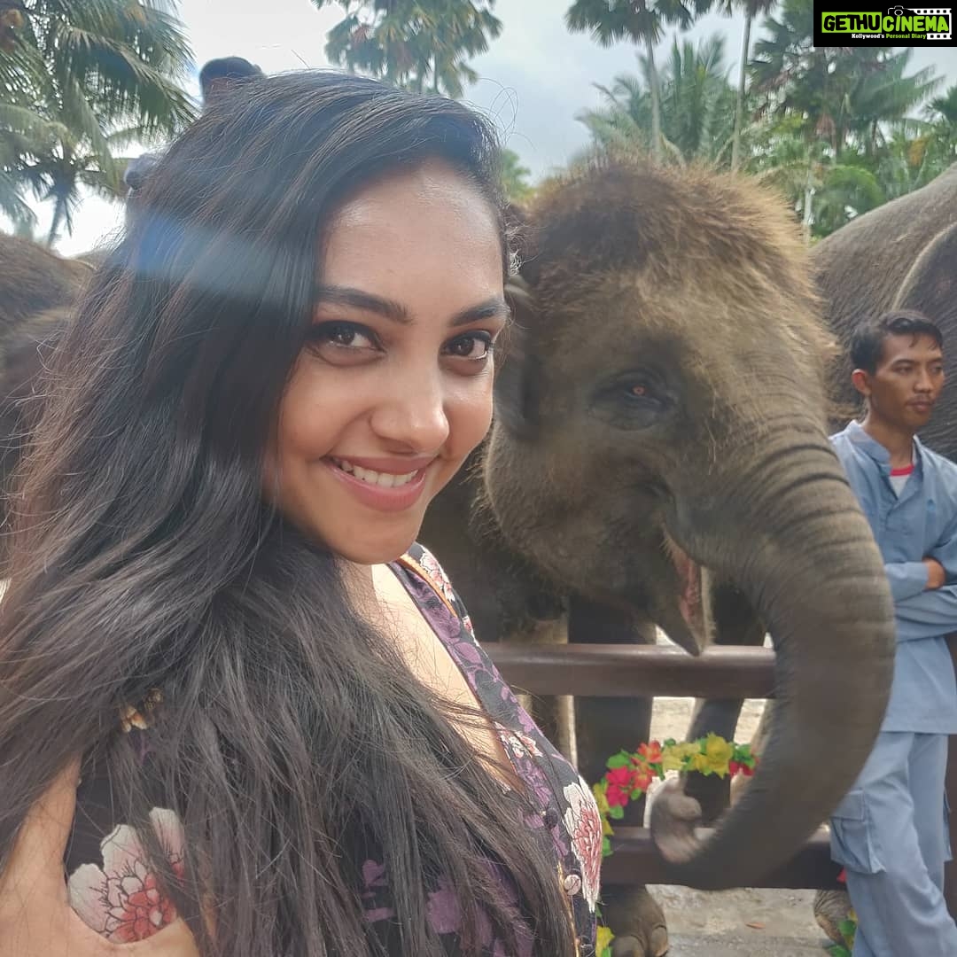 Smruthi Venkat Instagram - #bali #elephants #babyelephants #elephantlove #elephanthug #masonelephantpark #balivacation ✨🐘 Mason Elephant Park & Lodge