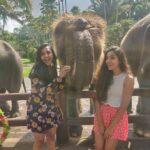 Smruthi Venkat Instagram - #bali #elephants #babyelephants #elephantlove #elephanthug #masonelephantpark #balivacation ✨🐘 Mason Elephant Park & Lodge