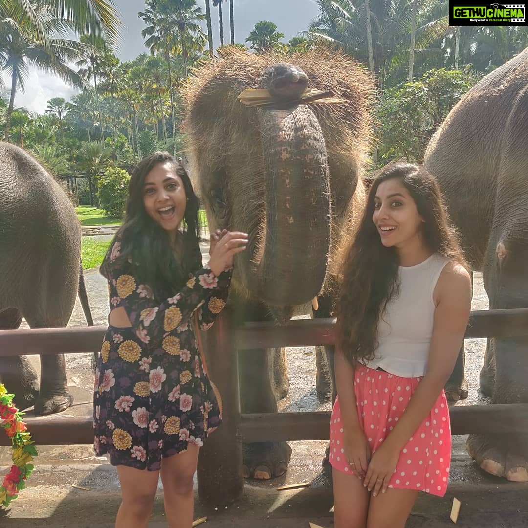 Smruthi Venkat Instagram - #bali #elephants #babyelephants #elephantlove #elephanthug #masonelephantpark #balivacation ✨🐘 Mason Elephant Park & Lodge