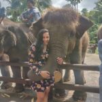 Smruthi Venkat Instagram - #bali #elephants #babyelephants #elephantlove #elephanthug #masonelephantpark #balivacation ✨🐘 Mason Elephant Park & Lodge