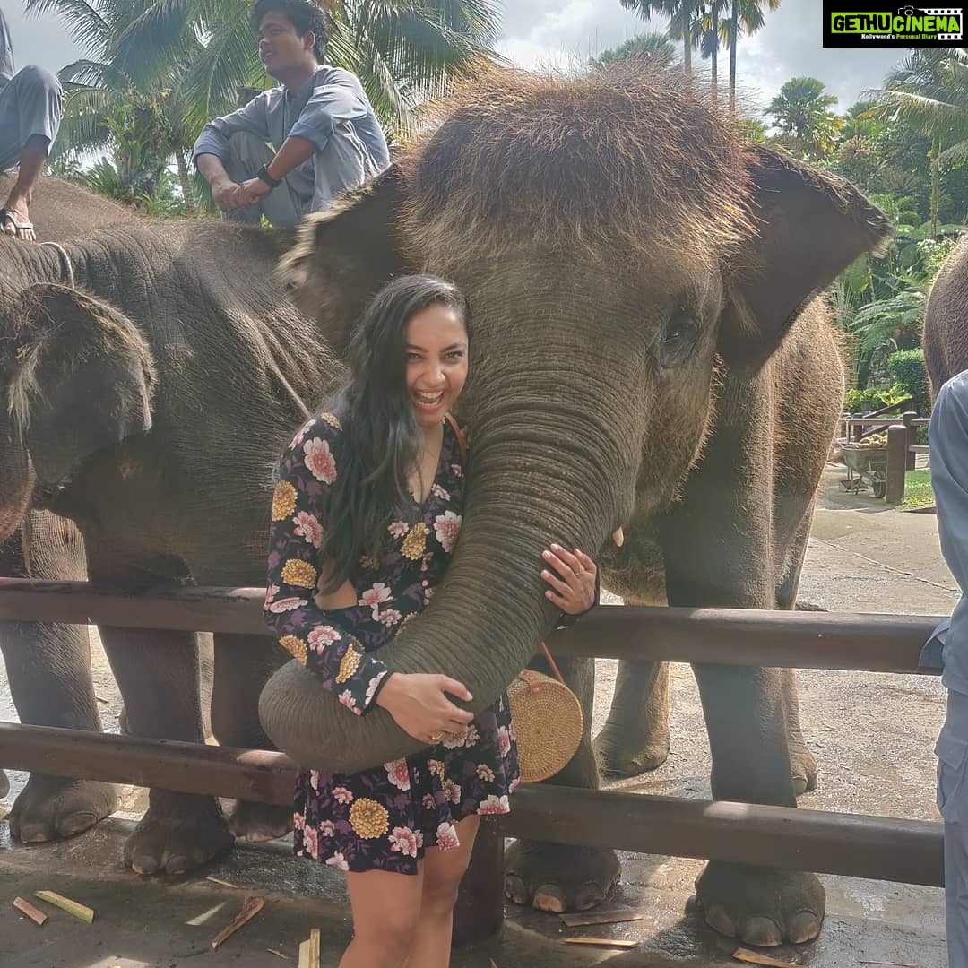 Smruthi Venkat Instagram - #bali #elephants #babyelephants #elephantlove #elephanthug #masonelephantpark #balivacation ✨🐘 Mason Elephant Park & Lodge