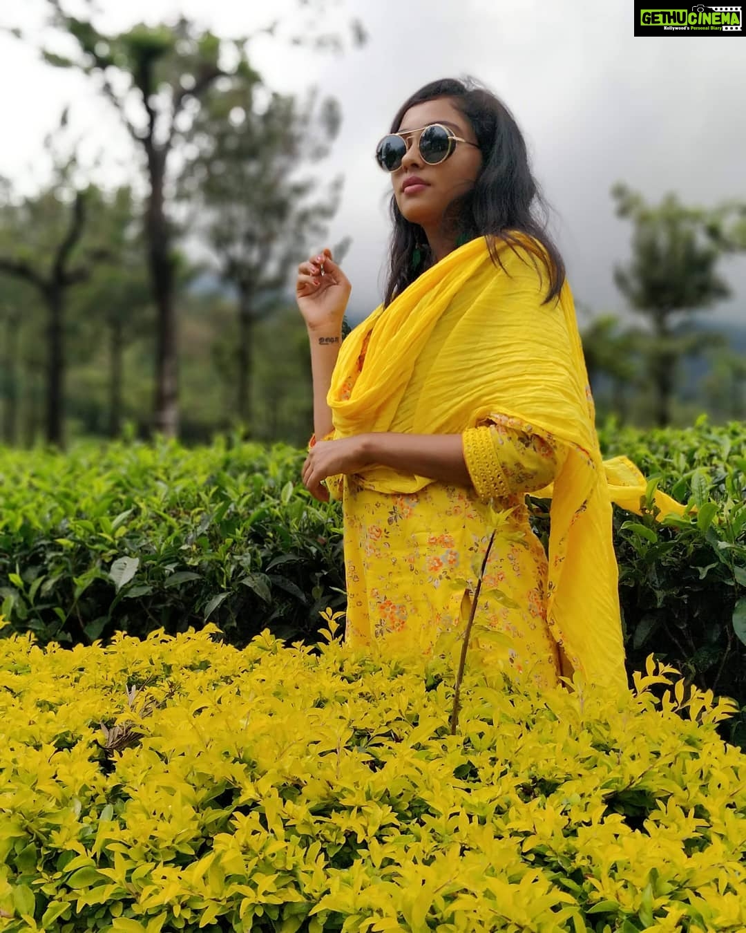 Smruthi Venkat Instagram - #yellows #bright #colors ✨ Valparai