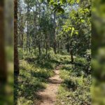 Smruthi Venkat Instagram - #2019 #newbegennings #postivevibesonly #trekking ✨✨ Elephant Valley Eco Farms
