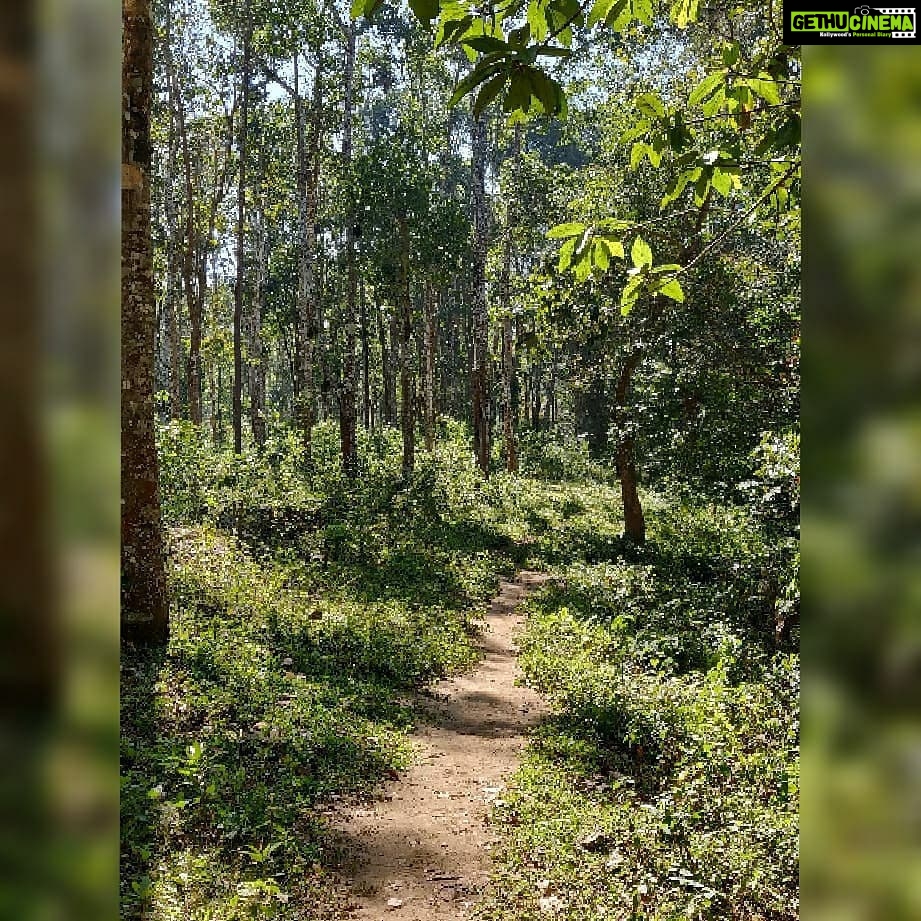 Smruthi Venkat Instagram - #2019 #newbegennings #postivevibesonly #trekking ✨✨ Elephant Valley Eco Farms