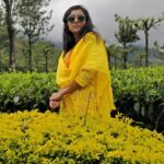 Smruthi Venkat Instagram - #yellows #bright #colors ✨ Valparai