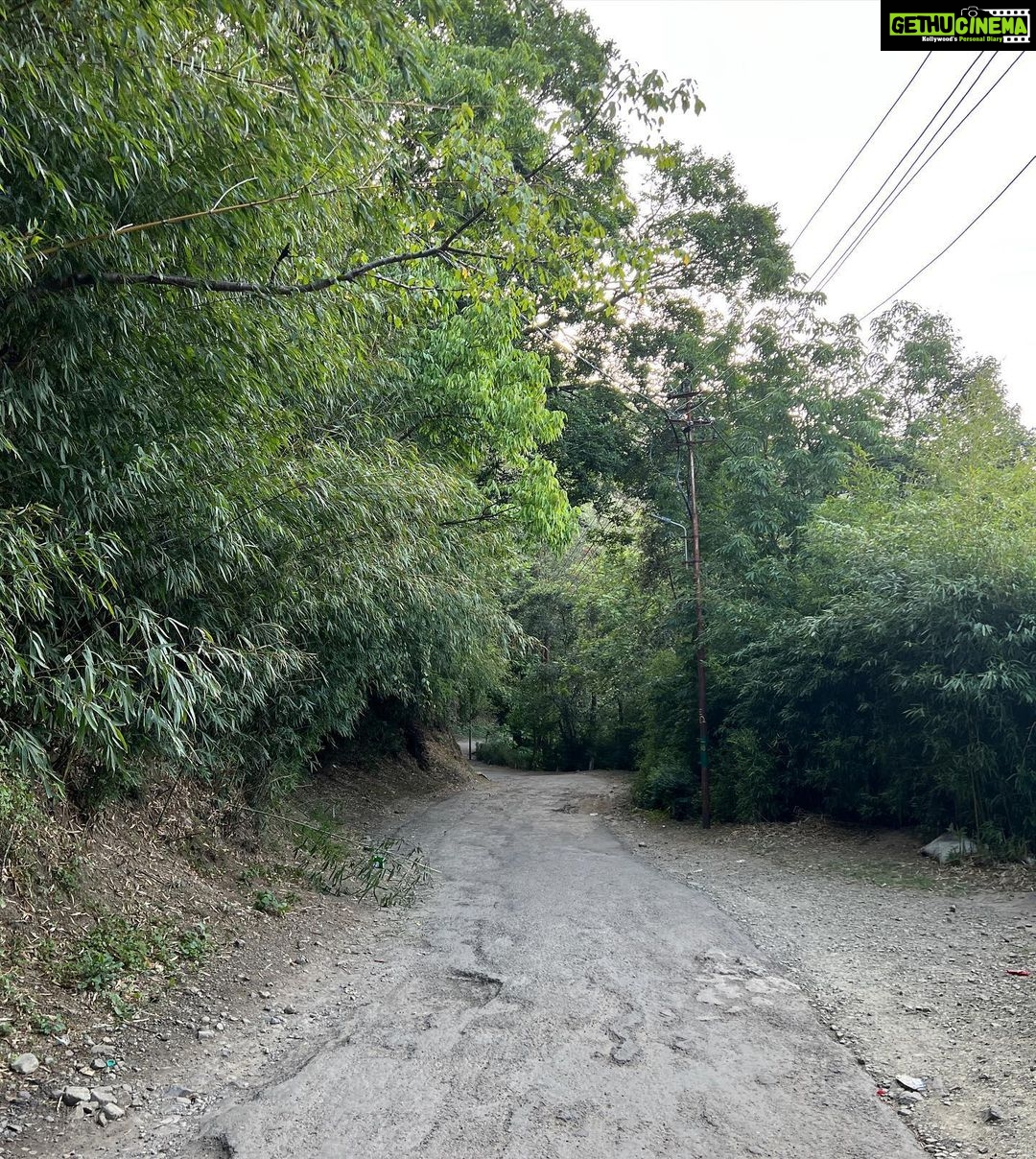 Sonam Bajwa Instagram - Always so fascinated seeing roads, lanes , doors ……
