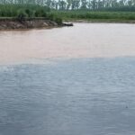 Sonia Mann Instagram - Please Save Punjab 🙏 #healthiswealth #savewater @bhagwantmann1 Budha Naala is a seasonal water stream , which runs through the Malwa region of Punjab India, and passing through highly populated Ludhiana district,Punjab,India,it drain into Sutlej River a tributary of the Indus River.