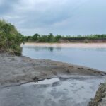 Sonia Mann Instagram - Please Save Punjab 🙏 #healthiswealth #savewater @bhagwantmann1 Budha Naala is a seasonal water stream , which runs through the Malwa region of Punjab India, and passing through highly populated Ludhiana district,Punjab,India,it drain into Sutlej River a tributary of the Indus River.