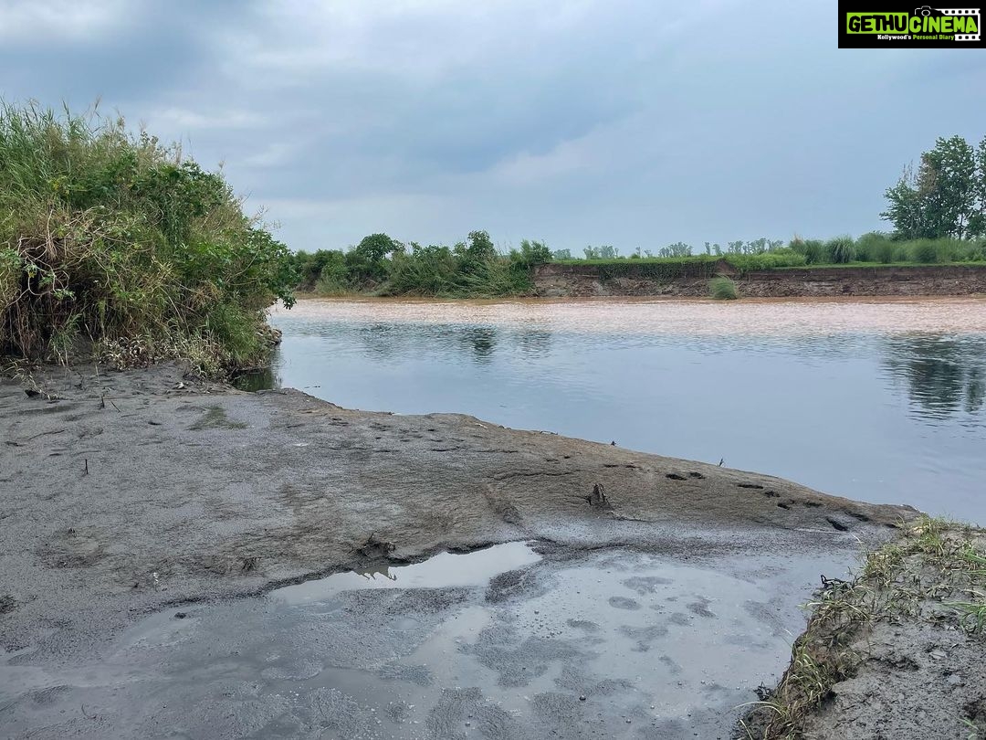 Sonia Mann Instagram - Please Save Punjab 🙏 #healthiswealth #savewater @bhagwantmann1 Budha Naala is a seasonal water stream , which runs through the Malwa region of Punjab India, and passing through highly populated Ludhiana district,Punjab,India,it drain into Sutlej River a tributary of the Indus River.