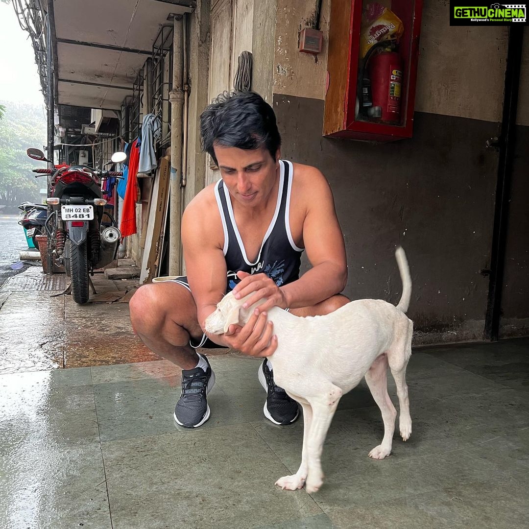 Sonu Sood Instagram - My new friend … all thanks to mumbai rains🤍