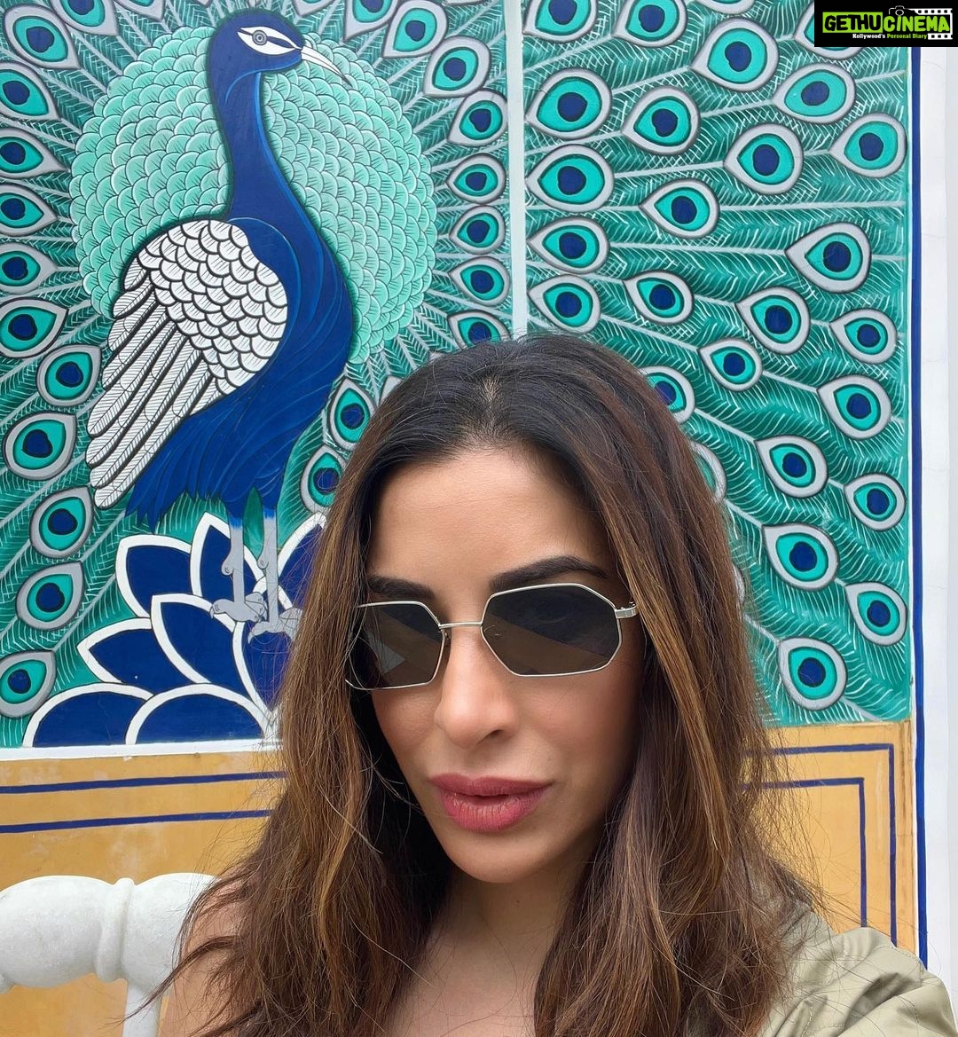 Sophie Choudry Instagram - All you need is green💚 #tuesdaythoughts #green #nature #traveldiaries #jaipur #positivevibesonly #gratitude #sophiechoudry #photodump Jaipur, Rajasthan