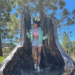 Sushma Raj Instagram - I’m a (s)tree ;) 😜 Inyo National Forest