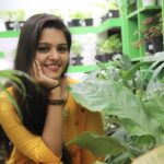Swathishta Krishnan Instagram – Plants have enough spirit to transform our limited vision.. Are you a plant lover?? Then Pls do check out the link in bio 🌸 
@vicky____075