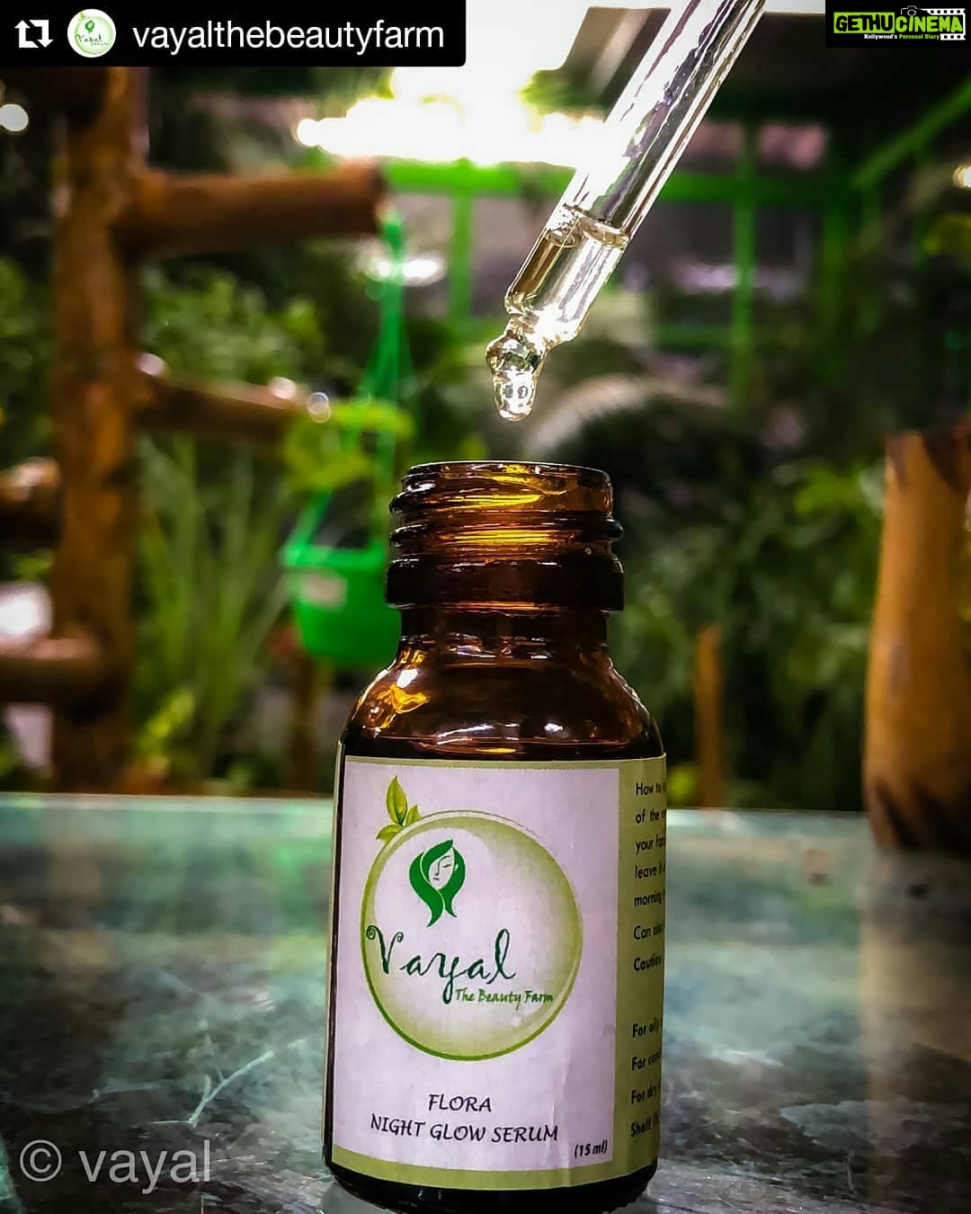 Swathishta Krishnan Instagram - Visit @vayalthebeautyfarm 💚 #Repost @vayalthebeautyfarm (@get_repost) ・・・ Flora night glow serum made with goodness of Carrier oils and blended with sweet smelling flower oils is all you need for a glowing skin ❤ Benefits 💥💥 💥Excellent moisturiser 💥Prevents acne and pimples 💥reduces the appearances of scars 💥Removes dark circles 💥Reduces the appearances of pigmentation and discolouration 💥anti aging - reduces the appearances of wrinkles and fine lines 💥induces sleep 💥even tone 💥gives glowing and healthy skin DM us to order 💌 #vayalthebeautyfarm #floranightglowserum #bedtimeserum #skincareregime #nochemicals #noparaben #chennaibase #homemade #glowisonthego#herbalgoodies
