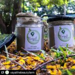 Swathishta Krishnan Instagram - Pls visit our page 😊😊 #Repost @vayalthebeautyfarm (@get_repost) ・・・ Love is in the HAIR 💐 Benefits of Vayal 's vitalizing hairpack Prevents dandruff 🌱 Reduces hairfall🌱 Promotes hair growth 🌱 Kills lice🌱 Controls itchy scalp 🌱 Fights from sun breakage🌱 Nourishes and gives shine&volume🌱 To be applied with curd. #vayalthebeautyfarm #organichairpack #nochemicals #noparaben #chennaibase #homemade #happyhairdays #herbalgoodies DM us to order 💌