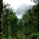 Swathishta Krishnan Instagram - #devalatrip #forestexperience😍 Devala, Tamil Nadu, India