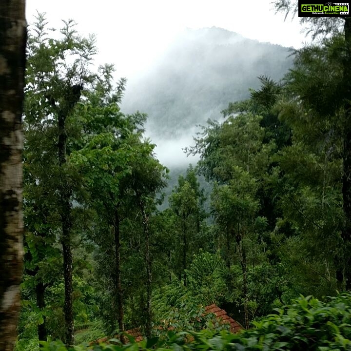 Swathishta Krishnan Instagram - #devalatrip #forestexperienceđ Devala, Tamil Nadu, India